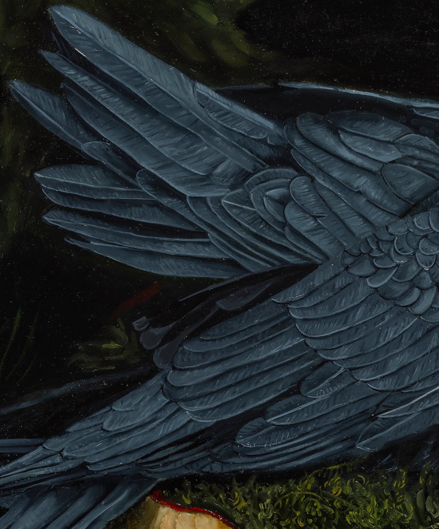 Where the Moths Won't Fly