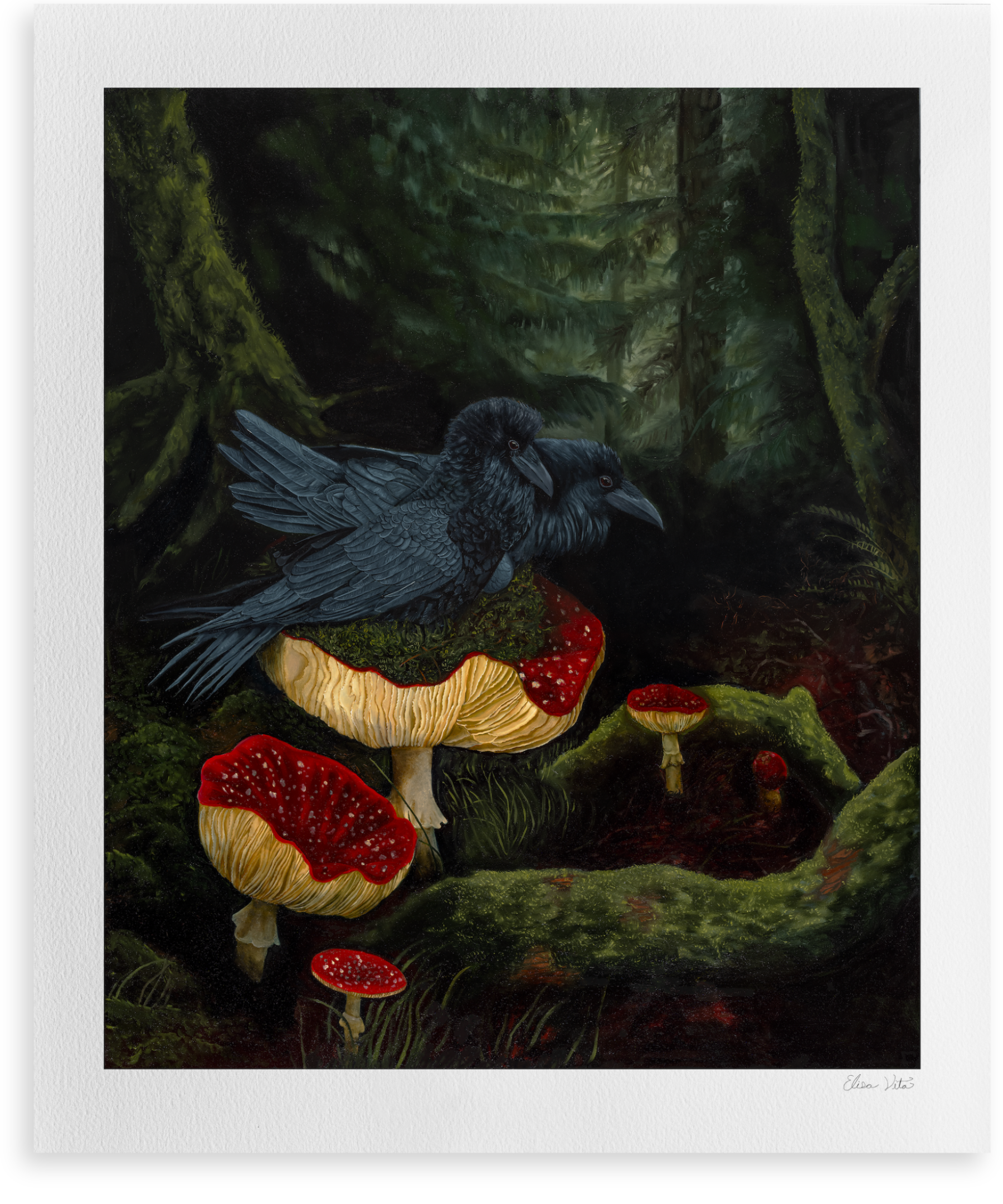 Where the Moths Won't Fly