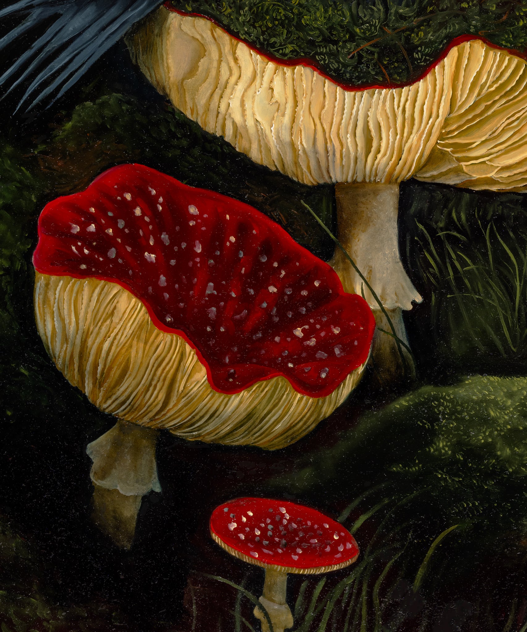 Where the Moths Won't Fly