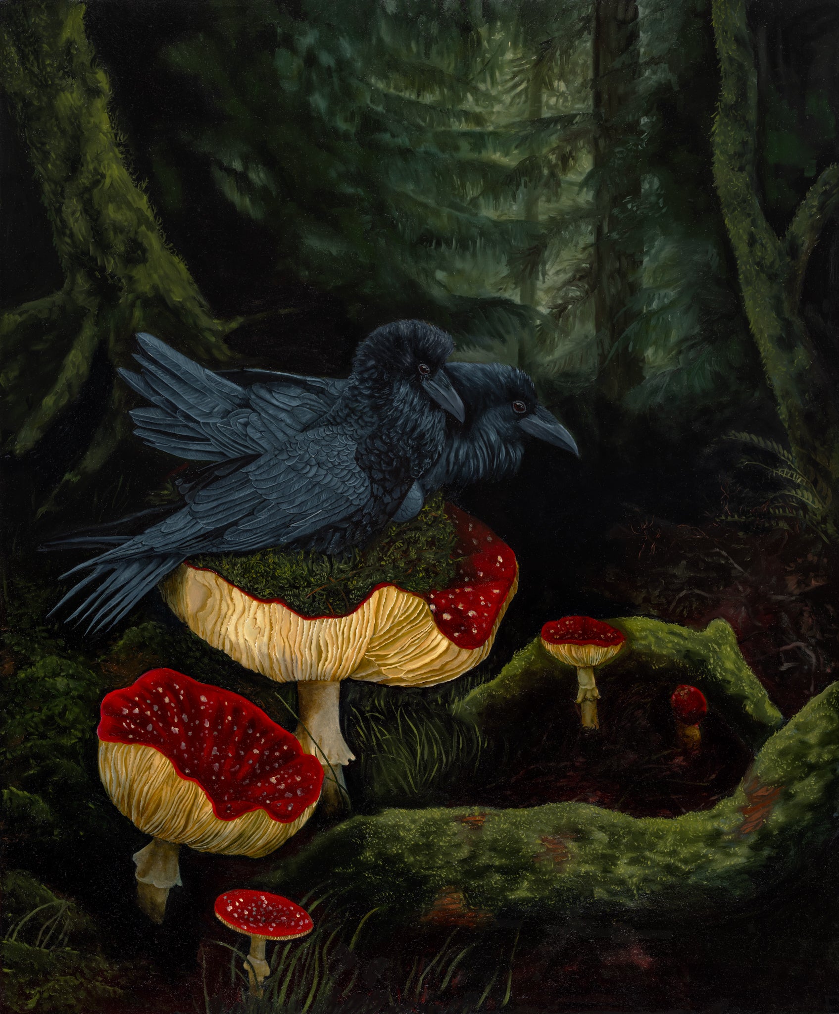 Where the Moths Won't Fly