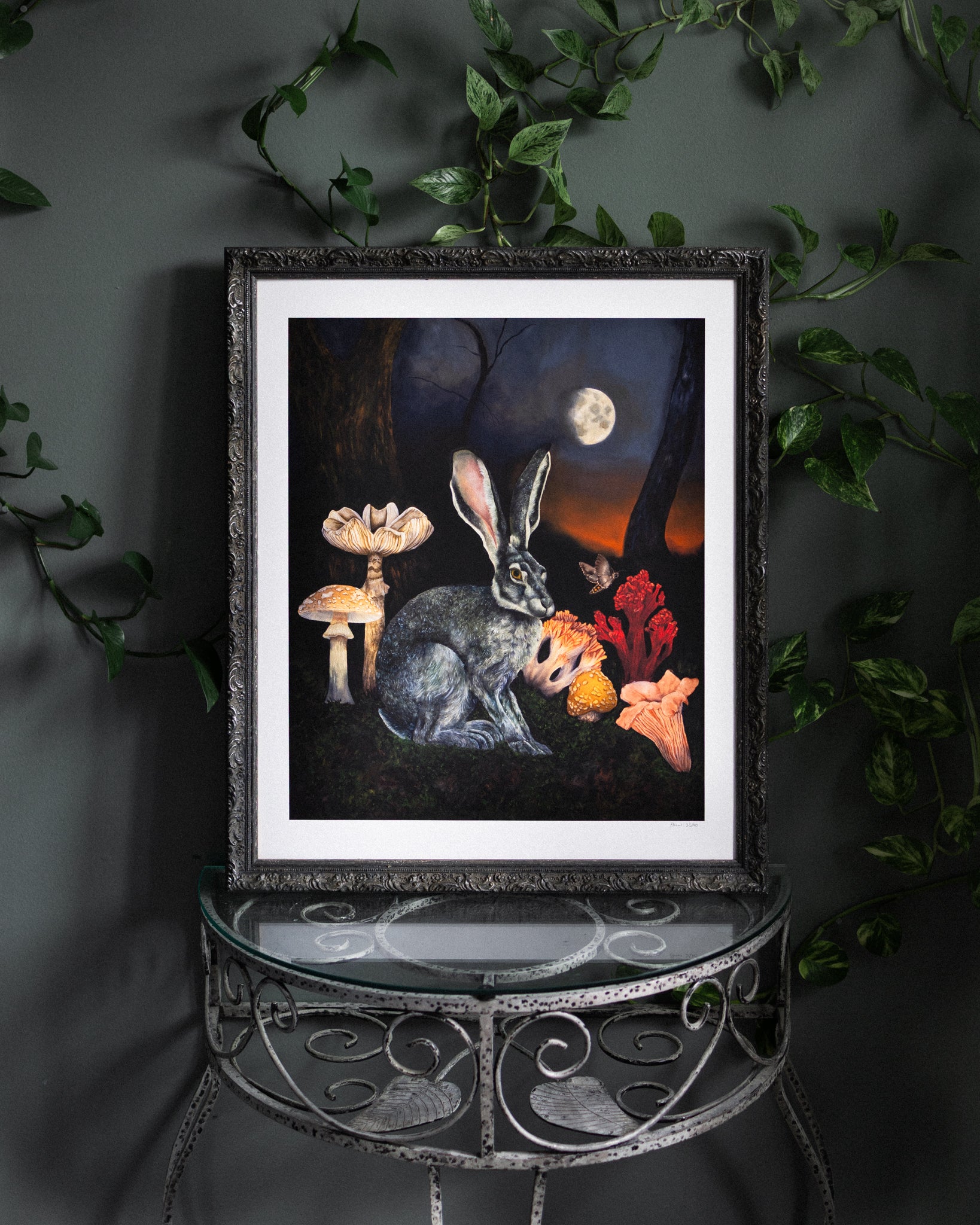 What the Hare Knows