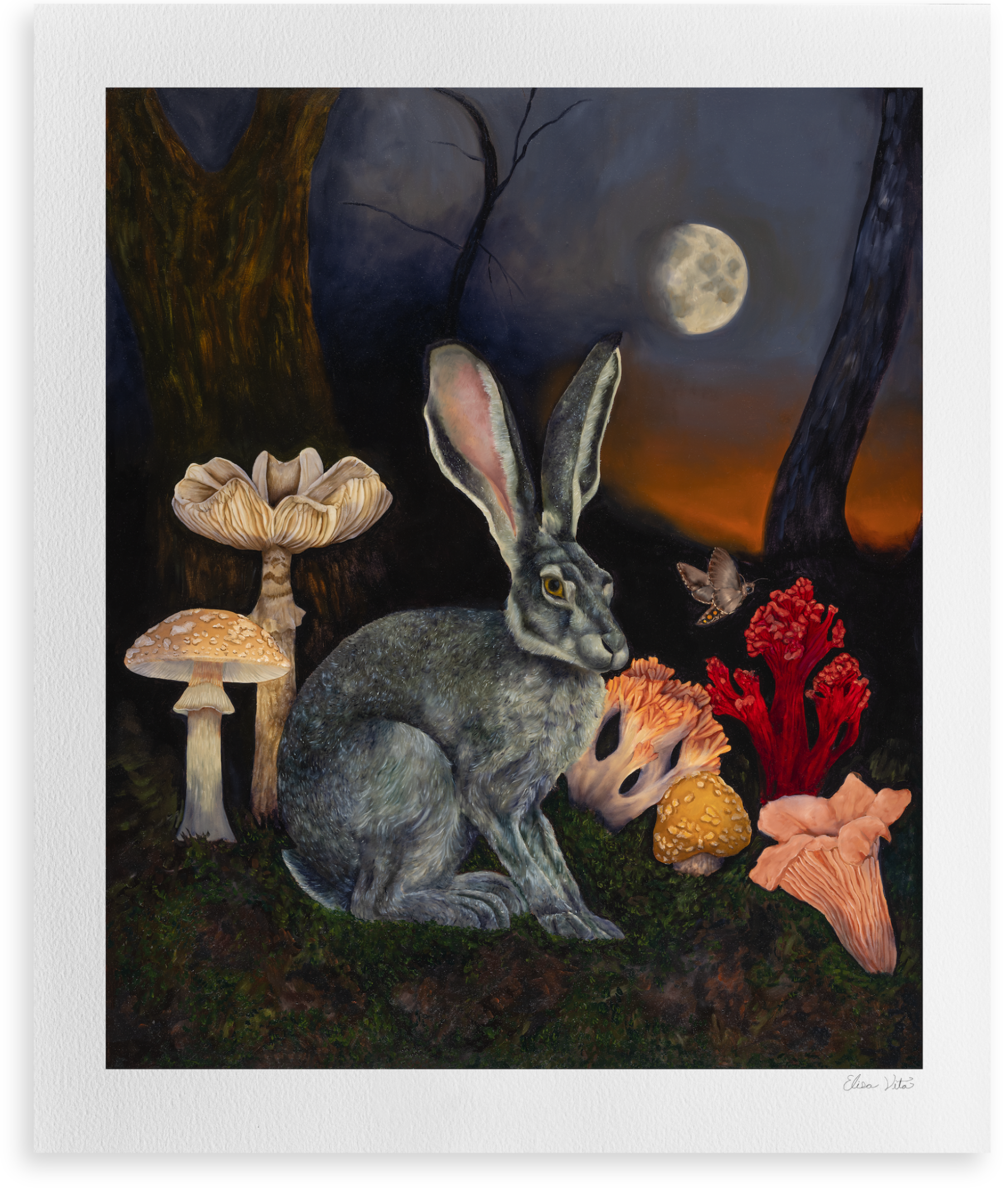 What the Hare Knows