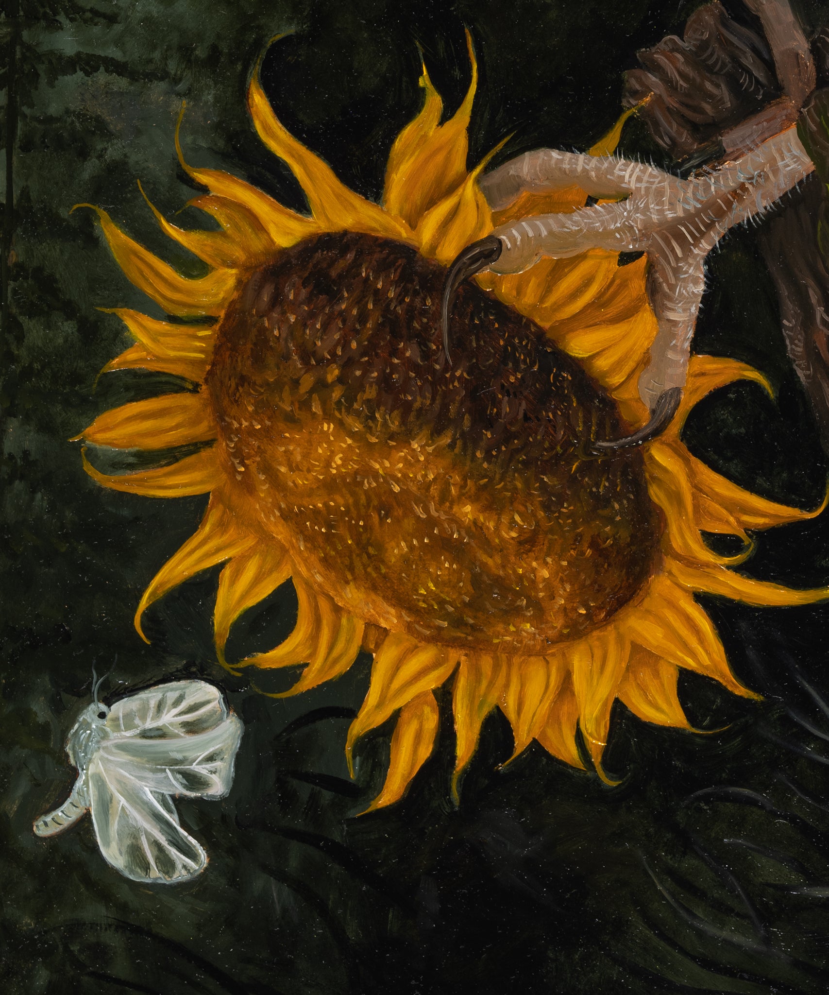 Sun Eater