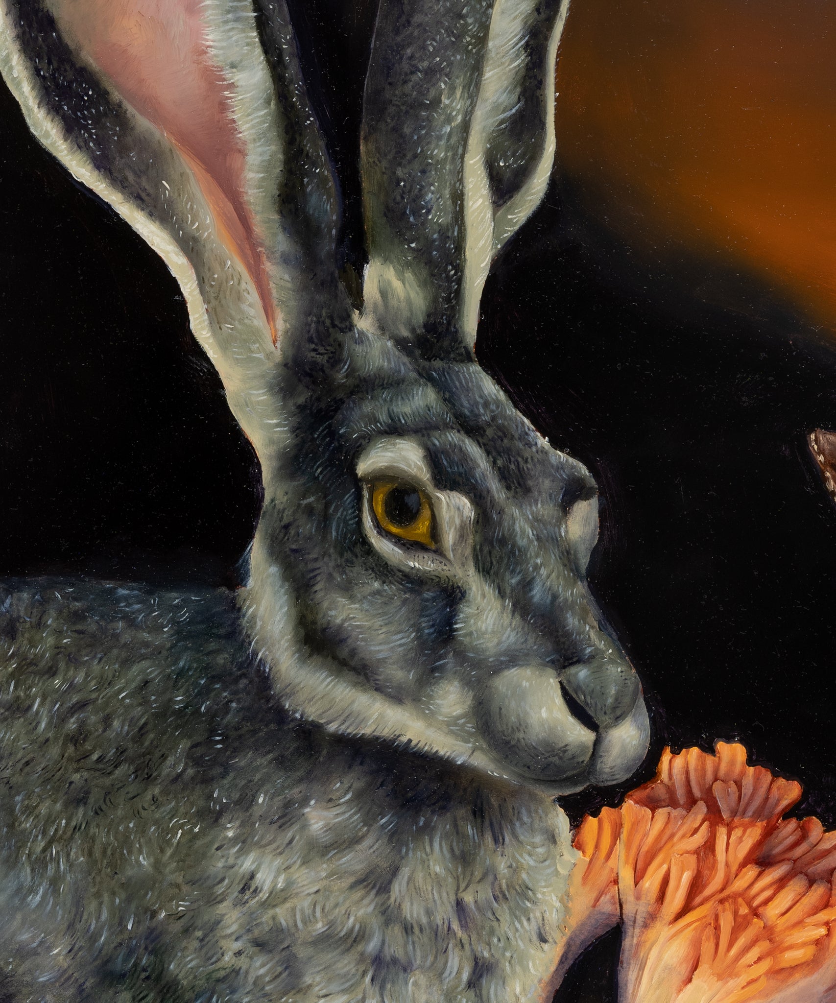 What the Hare Knows