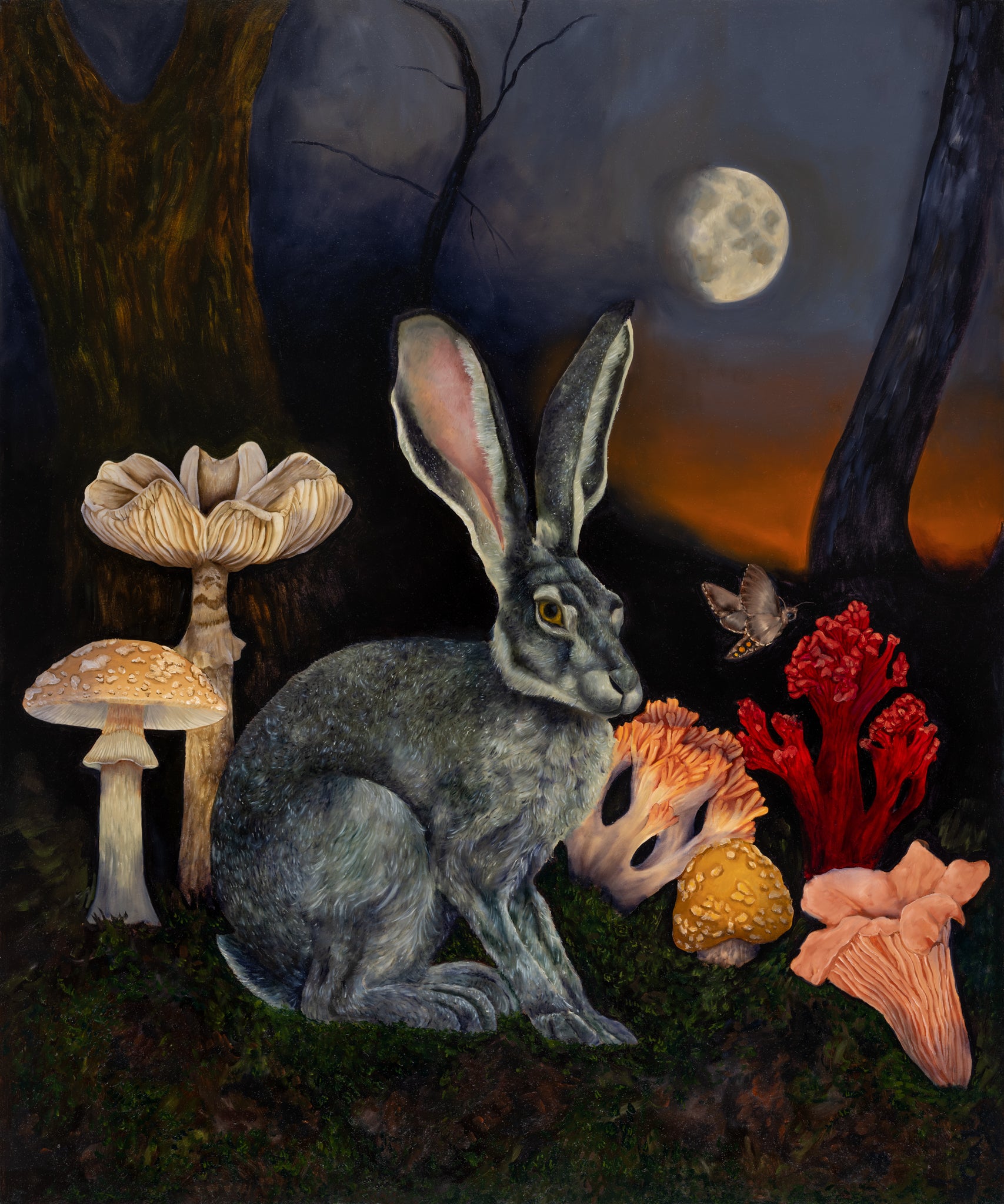 What the Hare Knows