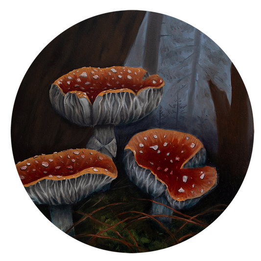 Mushroom Tondo I