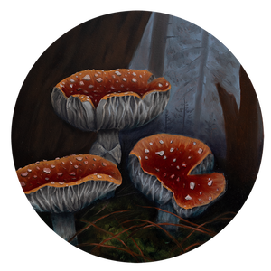 Mushroom Tondo I