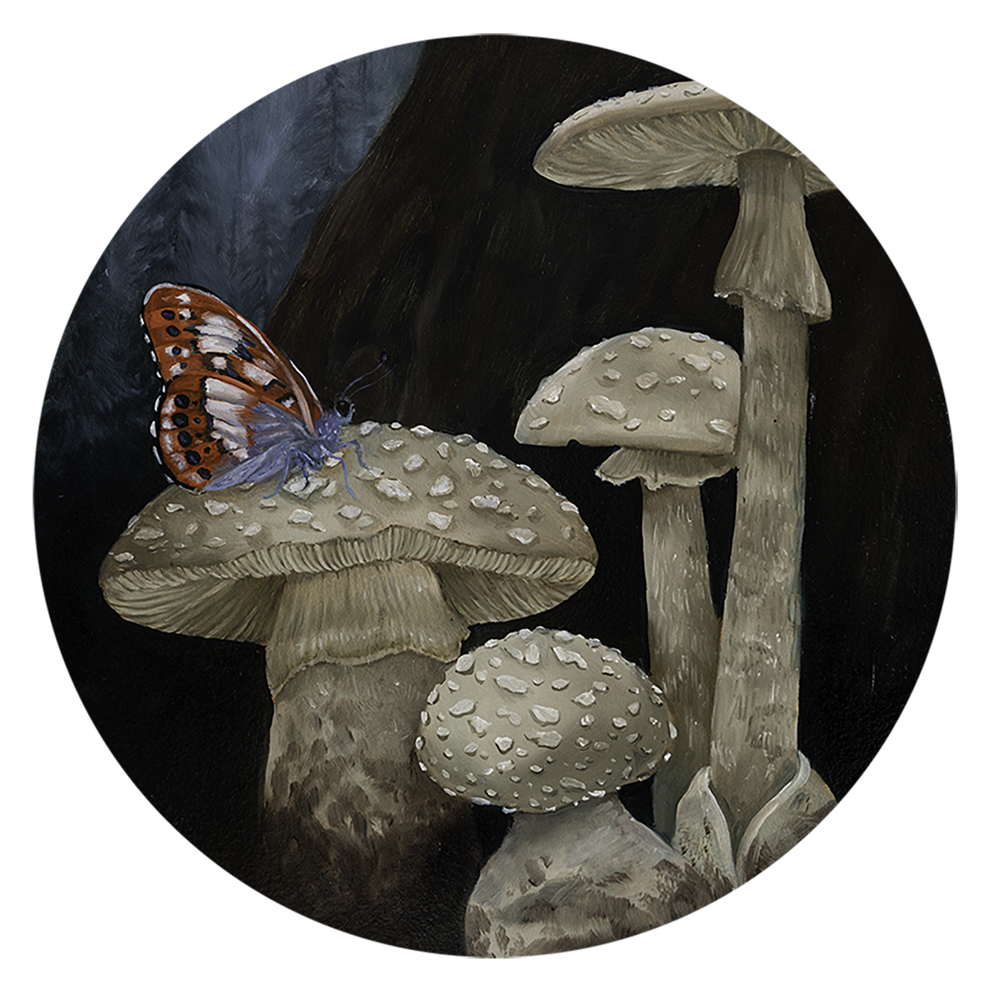 Mushroom Tondo II