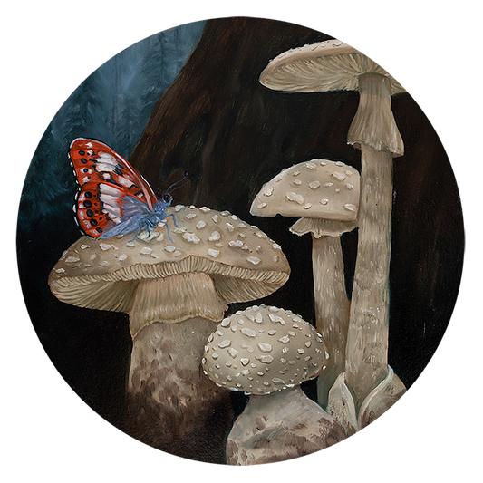 Mushroom Tondo  II